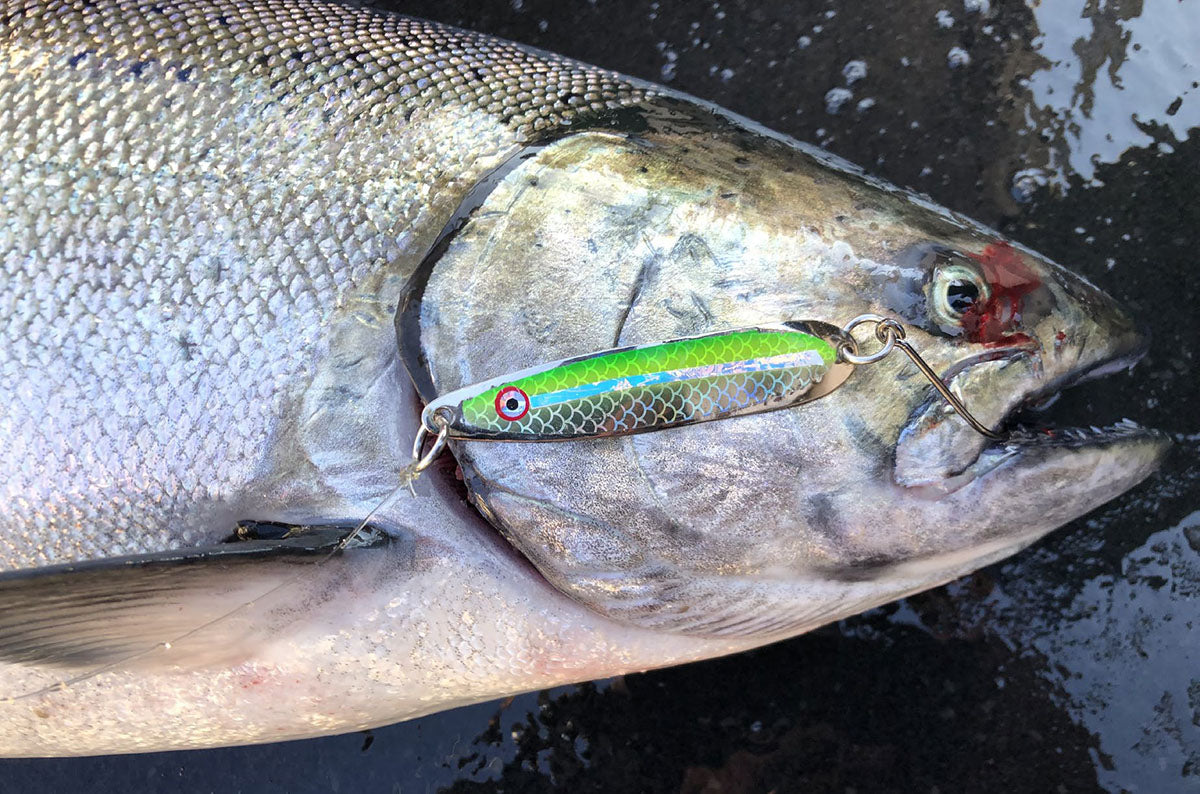 fish king lures Strike Red Eye Shad 1/2oz Chartreuse Belly Craw Color:Light Green/Gold making them absolutely perfect N2:bait and tackle Why California No Longer