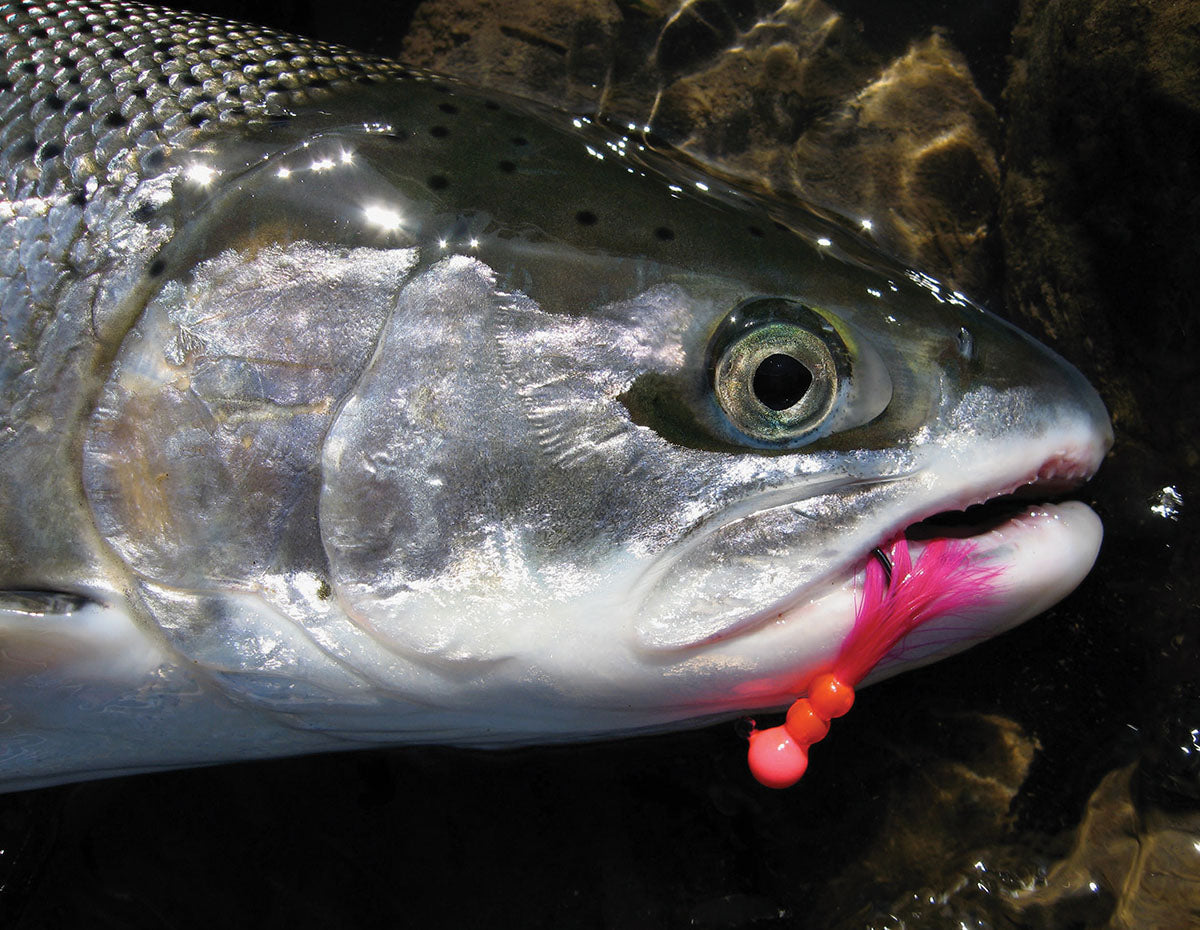 best steelhead trout lures Slammer Spinners | Chinook | Lures for steelhead | Ohio