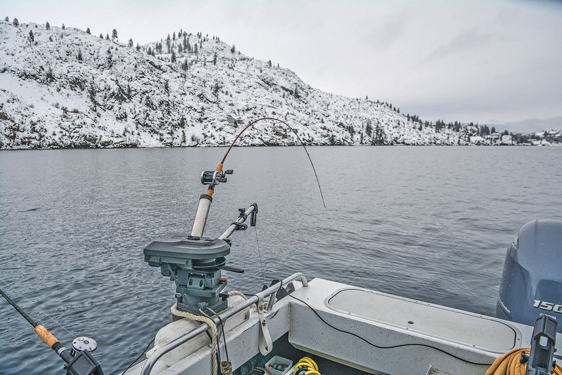 Lake Chelan’s Winter Kokanee - Jason Brooks