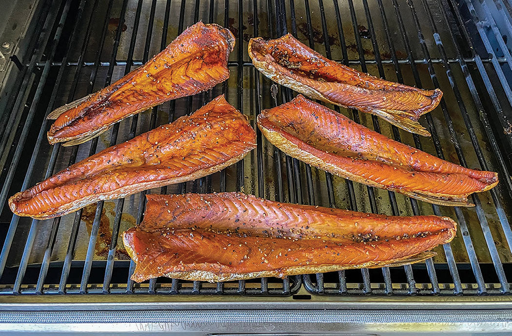 Pellet Smoked Salmon Bellies Tiffany Haugen Salmon Trout