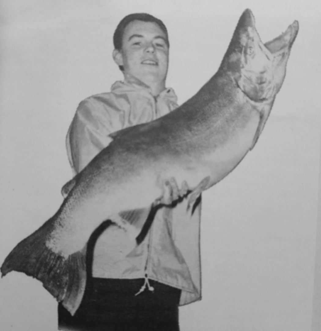 1971: THE YEAR OF THE GIANT STEELHEAD - Bill Herzog