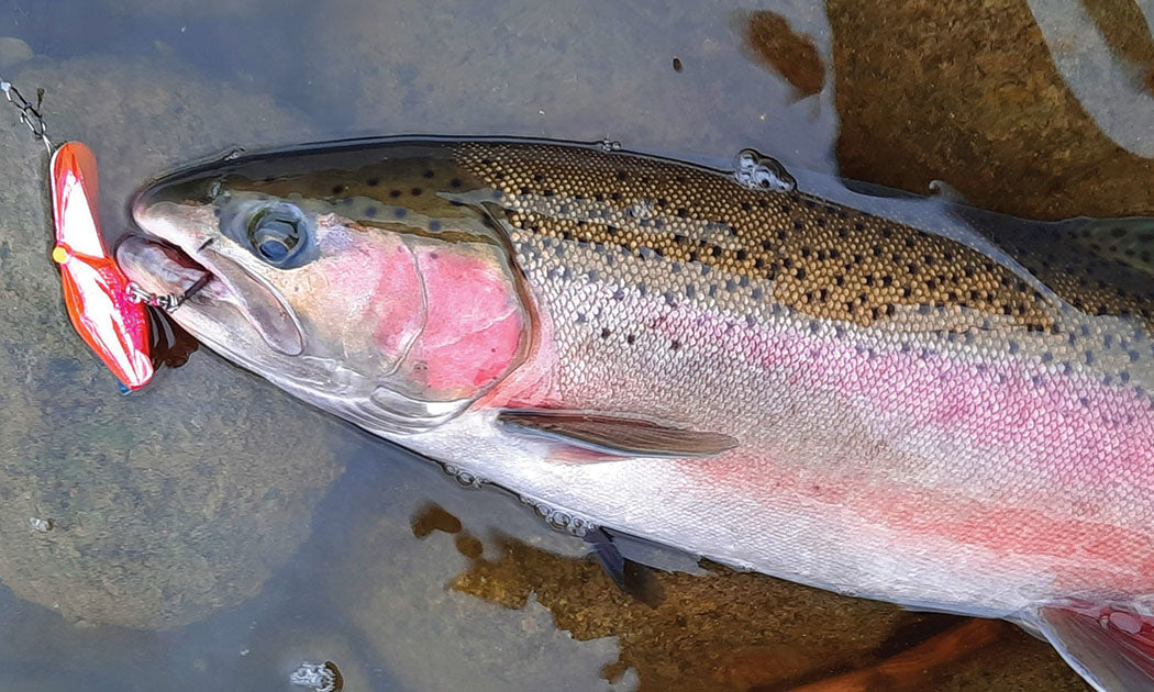 fall steelhead fishing lures Egg-Sucking Leech-Salmon/Steelhead Flies Big Y Fly Co Lake Trout Favorite steelhead baits? : r/Fishing