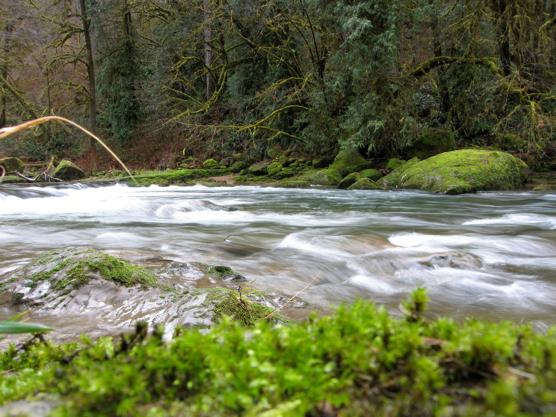The Lost Art of Drift Fishing by Nick Amato