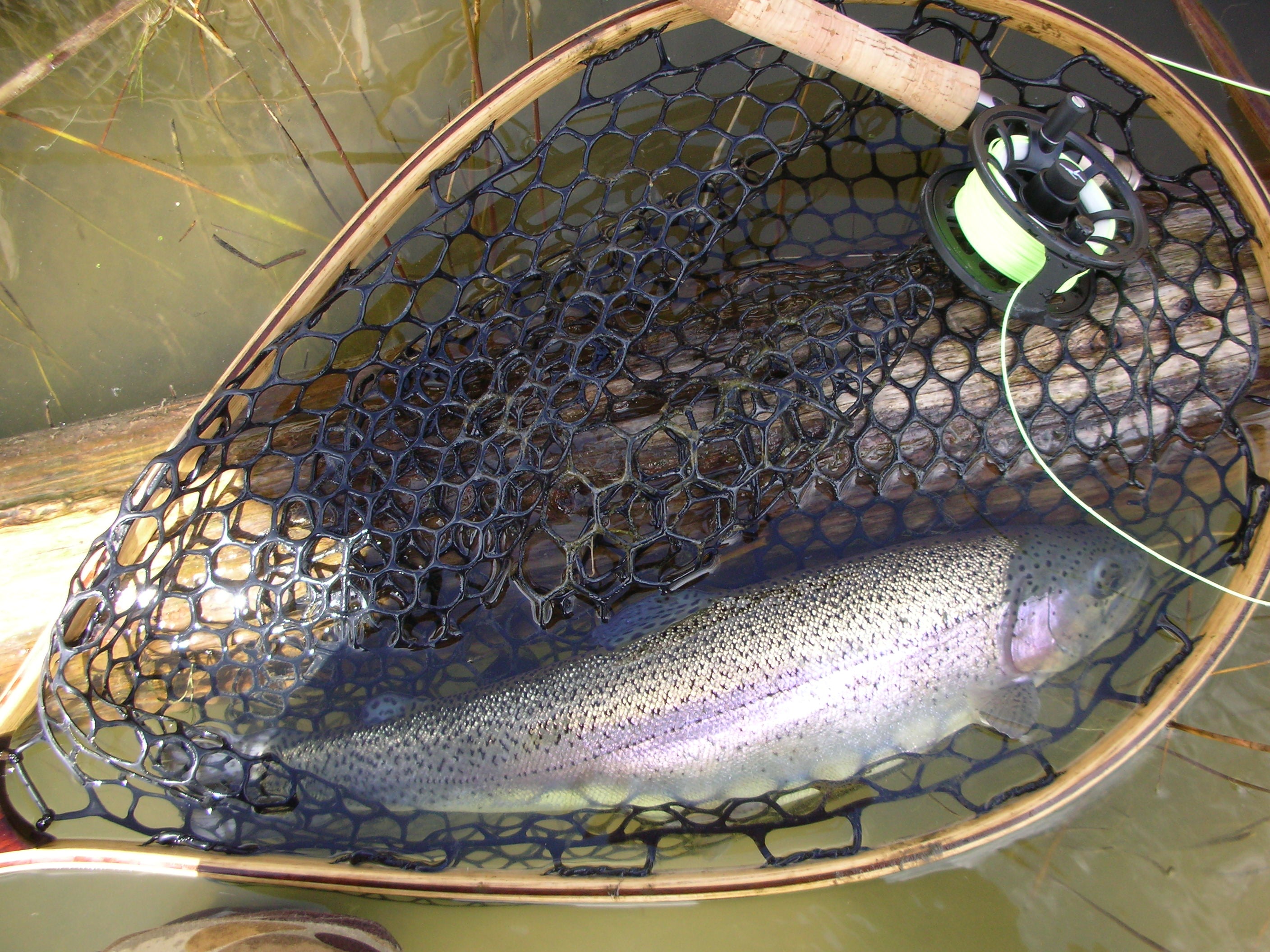 Pike fly-fishing articles: Tandem rigs