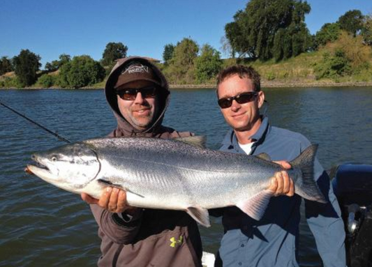 The Strange Feeding Habits of Chinook (King) Salmon - JD RICHEY