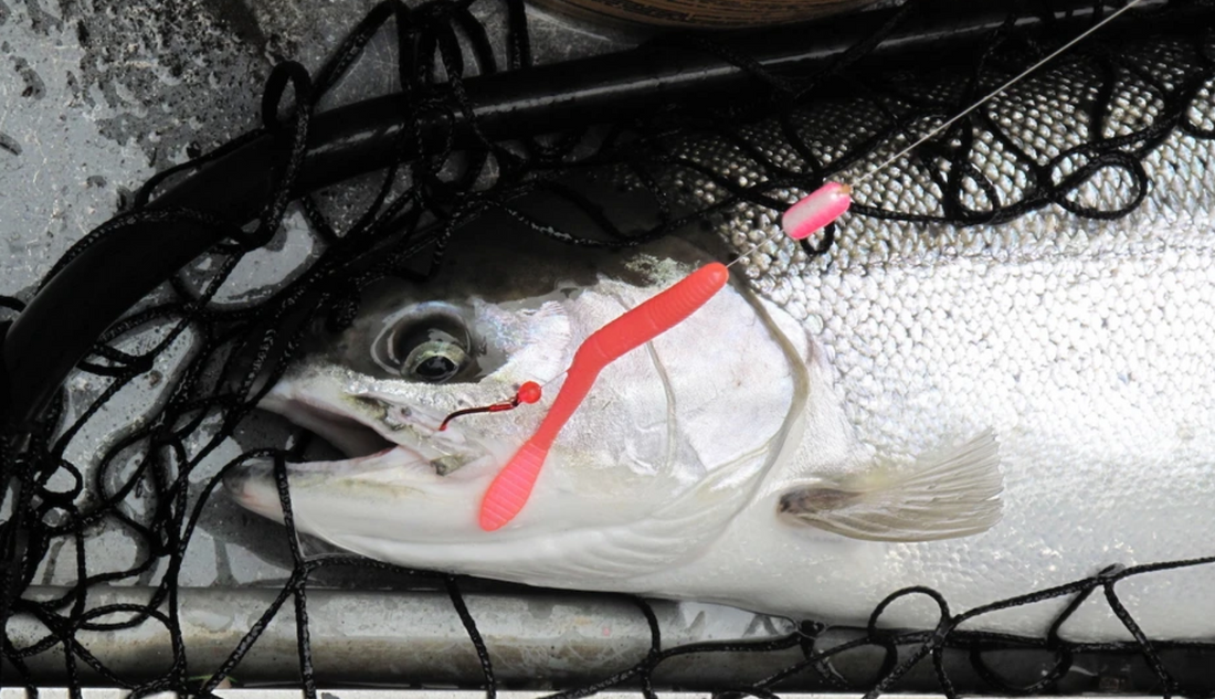 Fishing Pink Worms for Steelhead by Jason Brooks