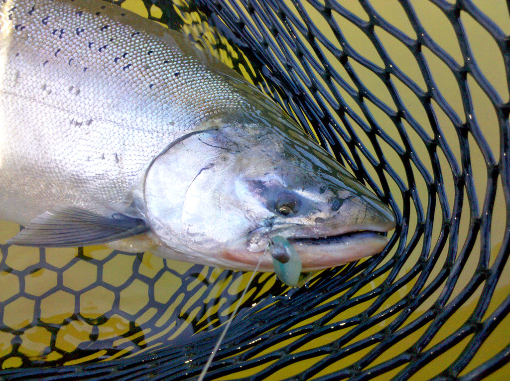 Spring Salmon Tricks: In Case of Emergency, Break Glass by JD Richey