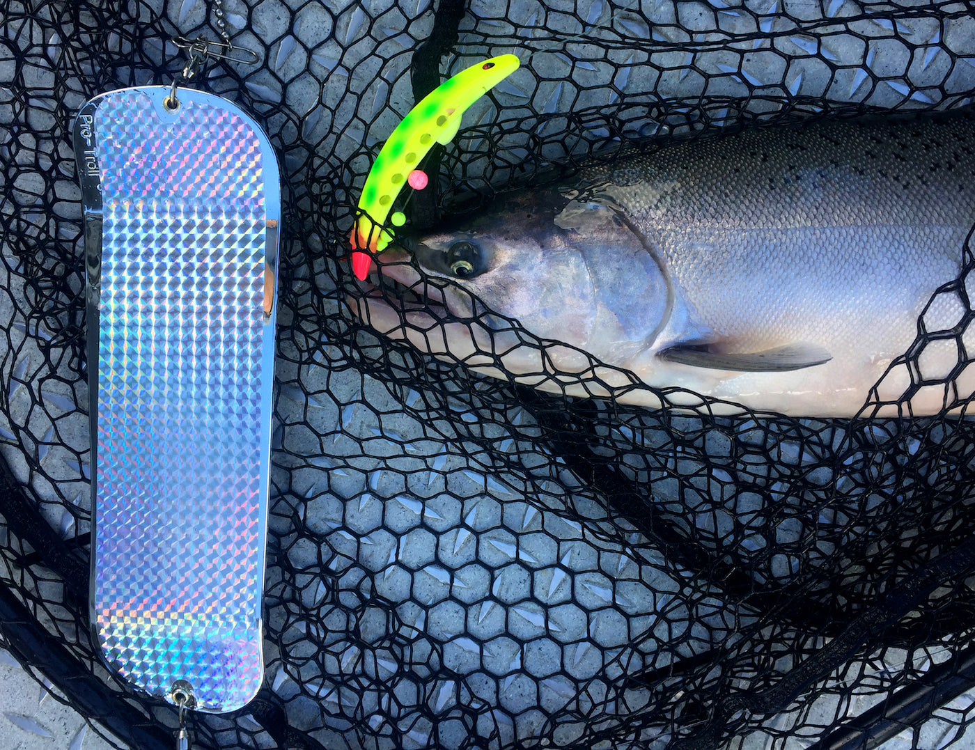Spinner Rig for Salmon Trolling Behind a 360 Flasher (single-pack