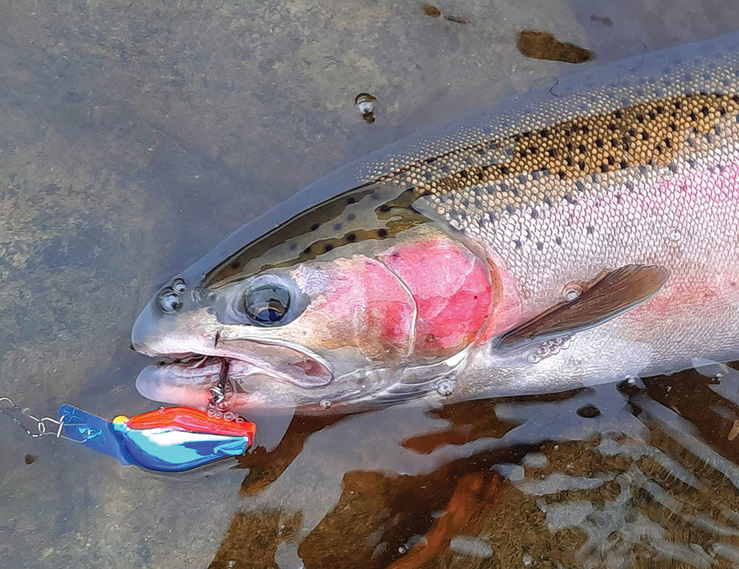 A Steelheader’s Time Machine - Bill Herzog