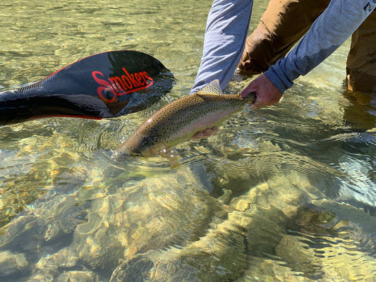 Sawyer Bandit Oars | A Game Changer