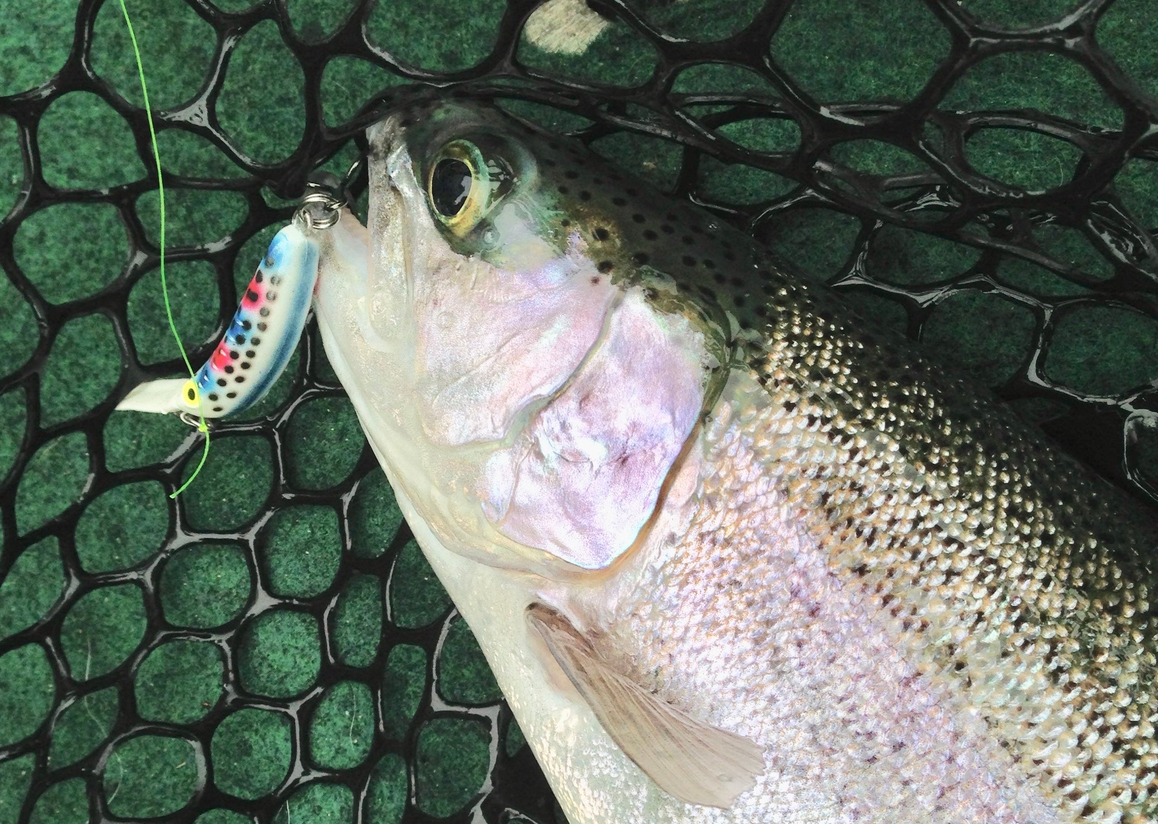 Phillips column: Perfect time for kokanee fishing at Lake
