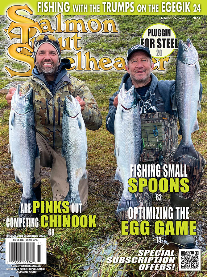 STS is now ONLY available ONLINE!