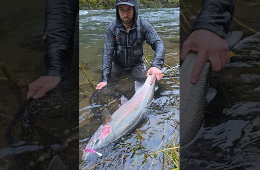 Trophy Winter Steelhead - Andrew Schnell