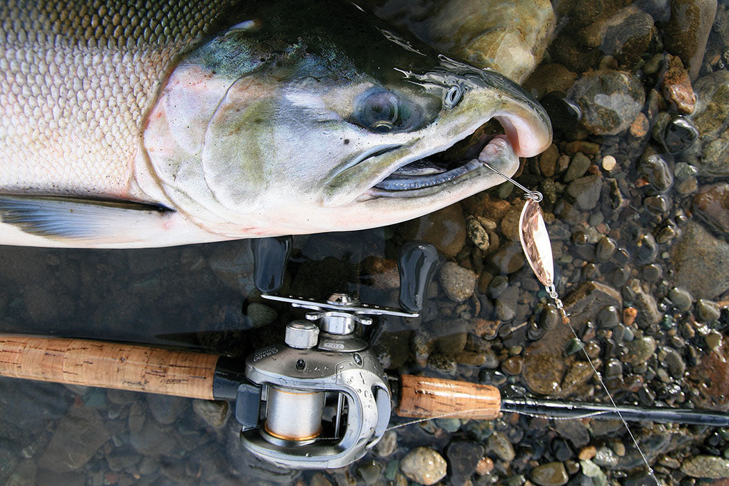 drift fishing with dick nite lures #1 Spoons so you can bet it will become a quick favorite from your tackle box. Dick Nite Kokanee Spoons