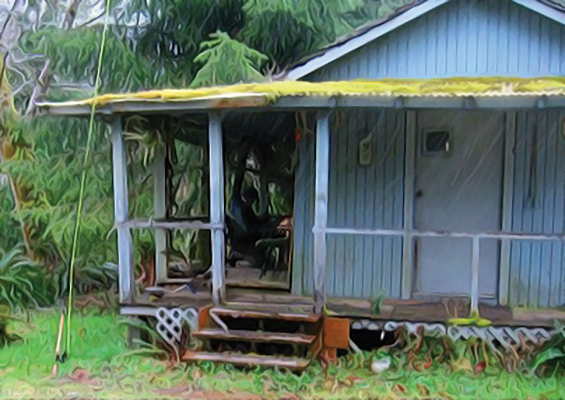 THE CABIN - Bill Herzog