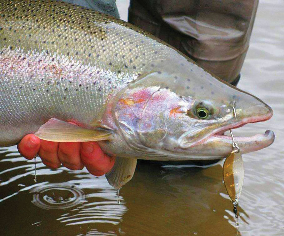 AVOIDING SINGLE POINT FAILURES - Bill Herzog