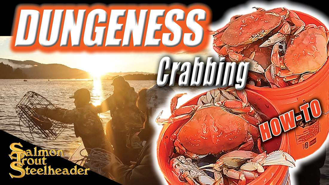 Dungeness Crabbing - How To