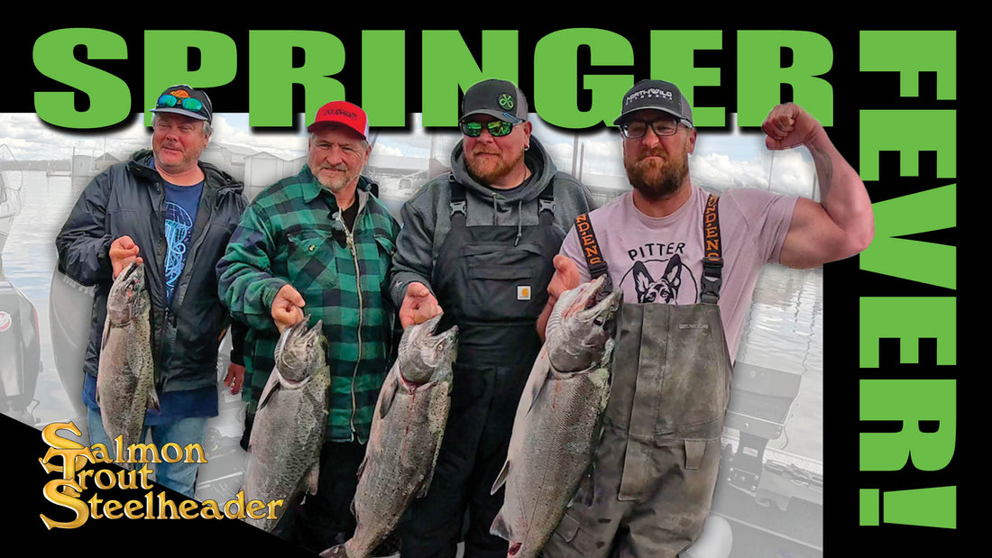 SPRINGER FEVER!