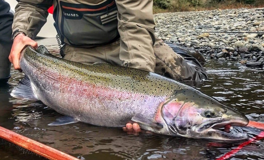 When it Rains... Understanding Water Conditions by Cameron Black