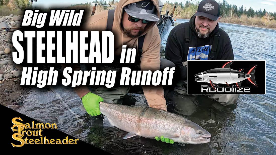 Big Wild STEELHEAD in High Spring Runoff