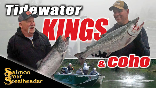 Tidewater KINGS and Coho