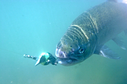 Reading Summer Steelhead Water by Scott Haugen